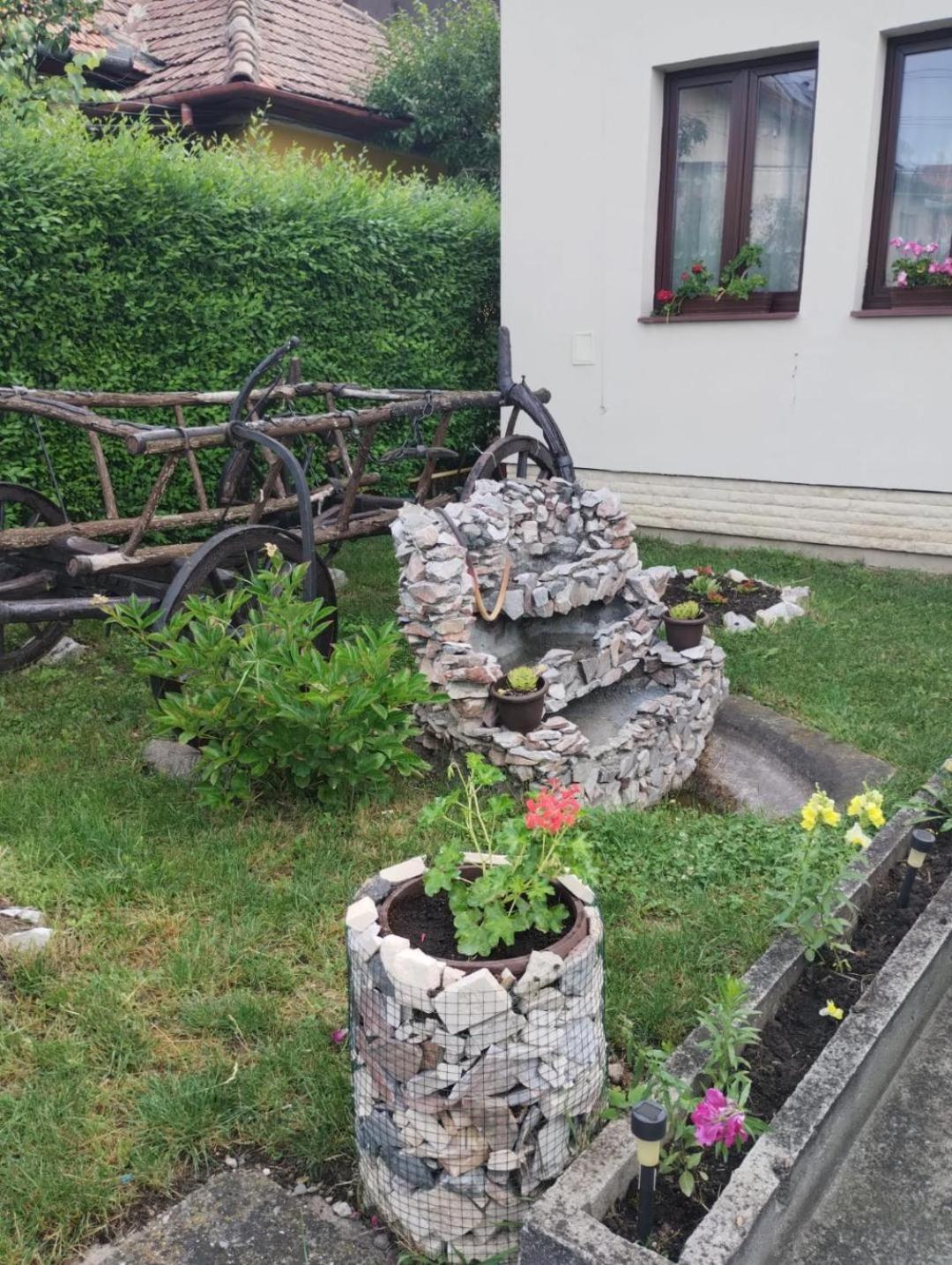 Casa Darius Cluj 아파트 외부 사진